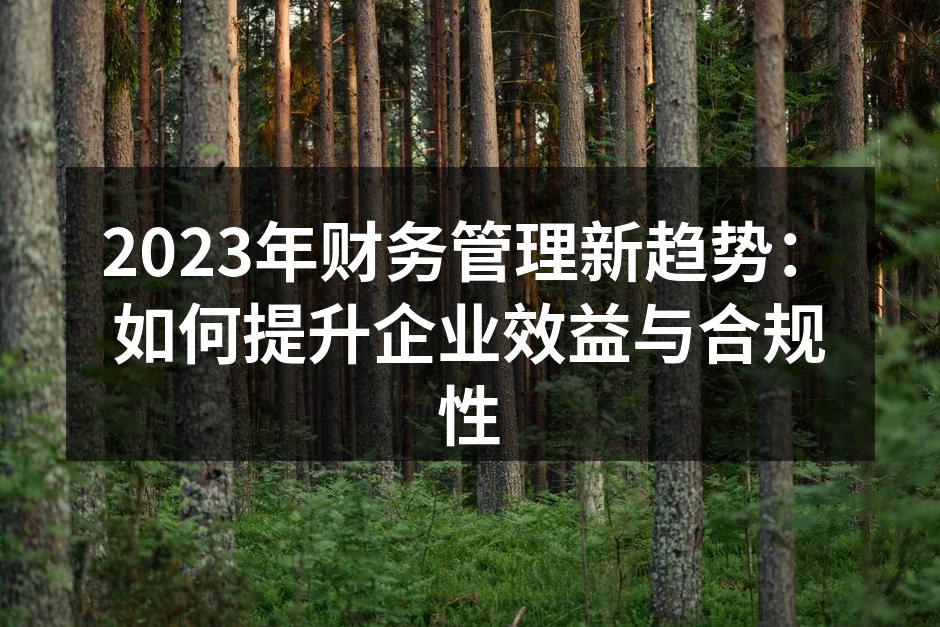 2023年财务管理新趋势：如何提升企业效